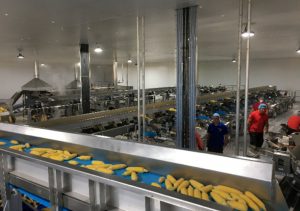 galeria2_0001_Vector20Smart20Object-1