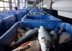 galeria2_0001_Vector20Smart20Object