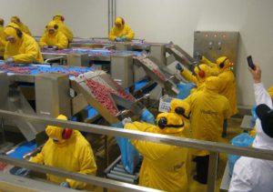 galeria2_0002_Vector20Smart20Object-1