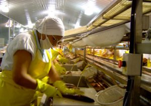 galeria4_0003_Vector20Smart20Object