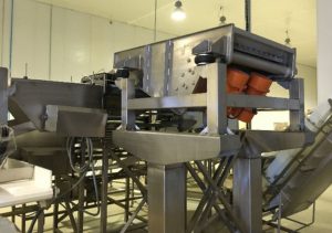 galeria4_0004_Vector20Smart20Object