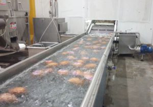 galeria4_0006_Vector20Smart20Object